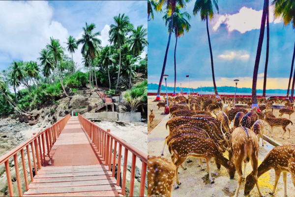 Top 10 Tourist Places in Andaman and Nicobar 