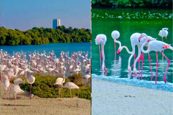 places to visit in Dubai for free
