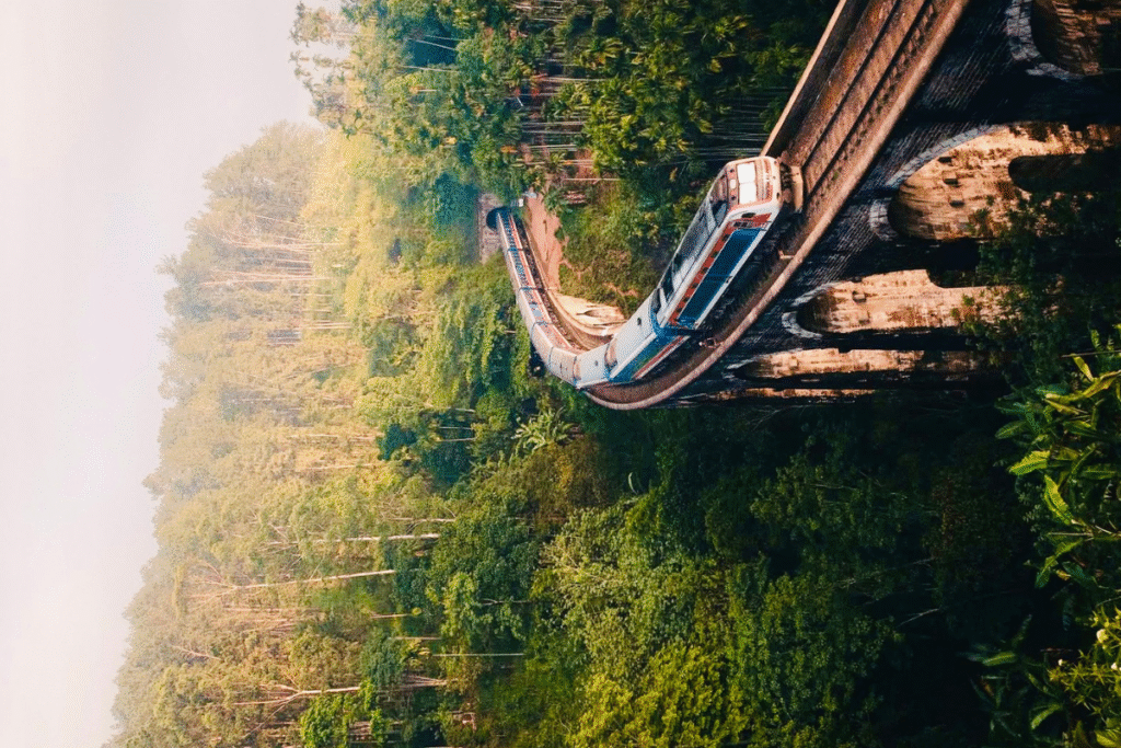 Best Time to Explore Sri Lanka’s Hill Country