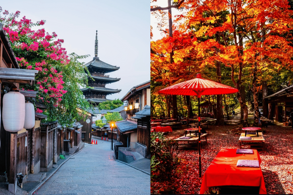 kyoto in november
