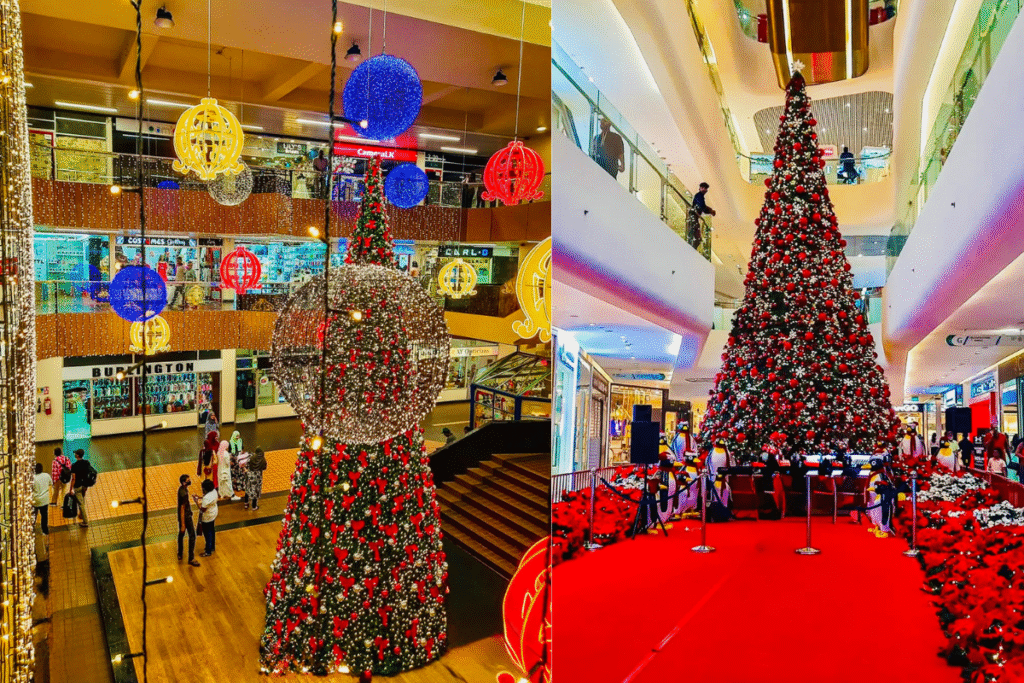 Family Christmas Destination Sri Lanka