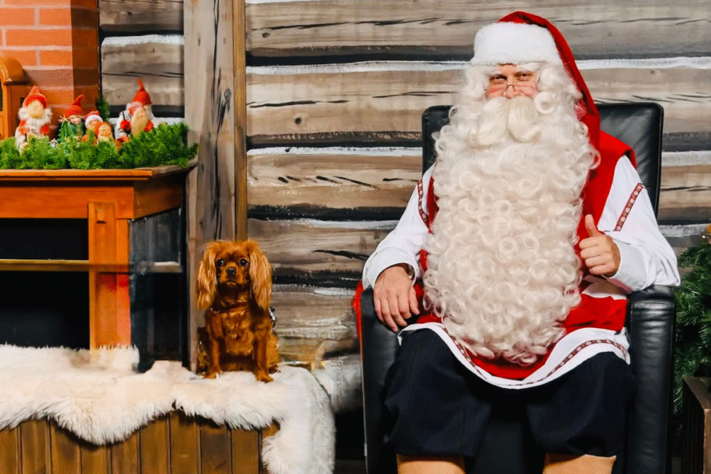 Christmas in Lapland