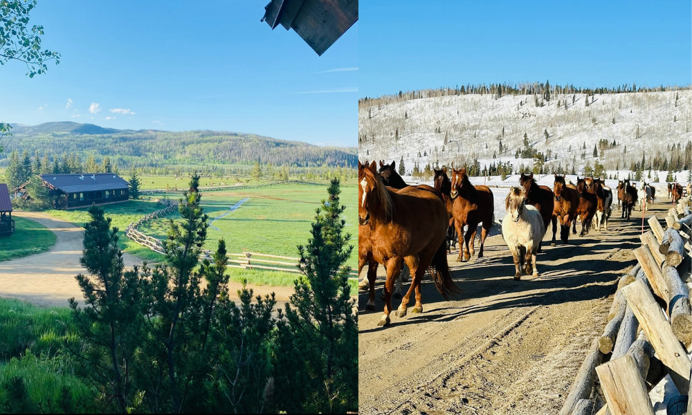 Vista Verde Ranch, Colorado 