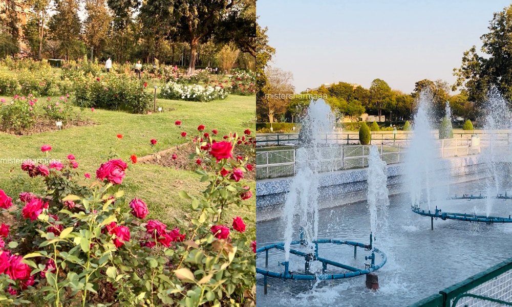 Rose Garden Chandigarh