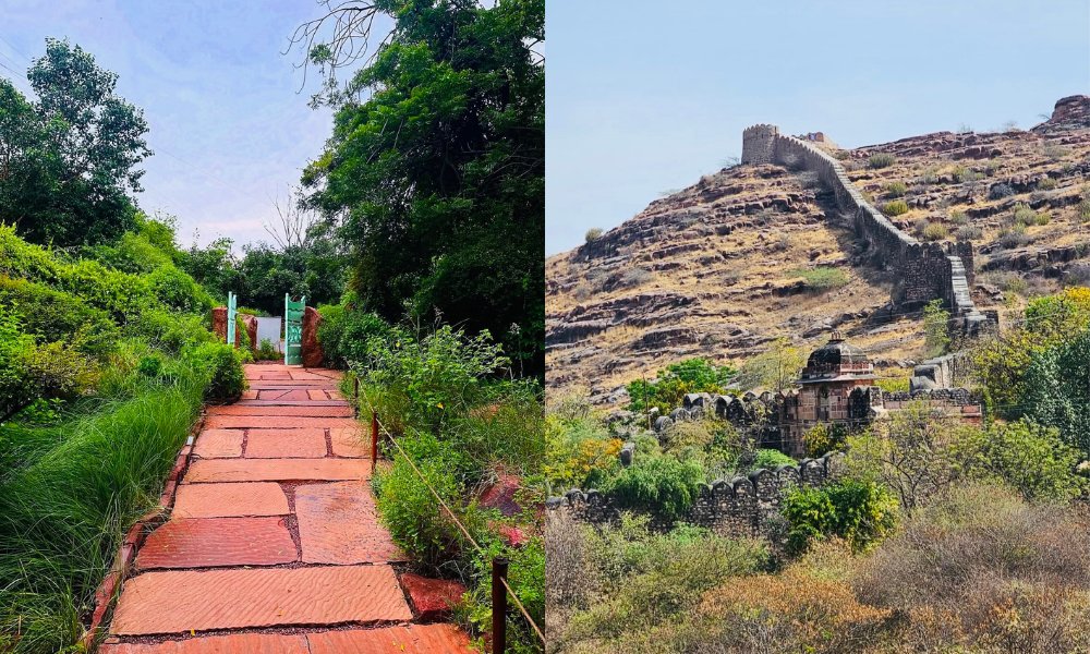 Rao Jodha Desert Rock Park jodhpur