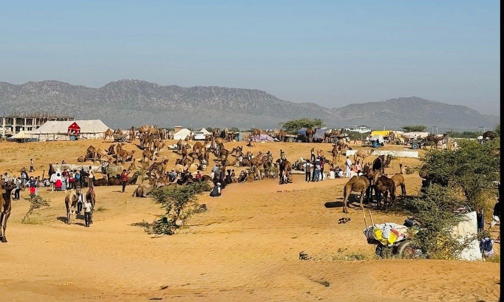 Pushkar Camel Fair