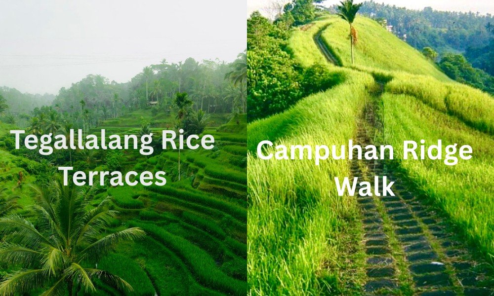 Nature & Scenic Experiences