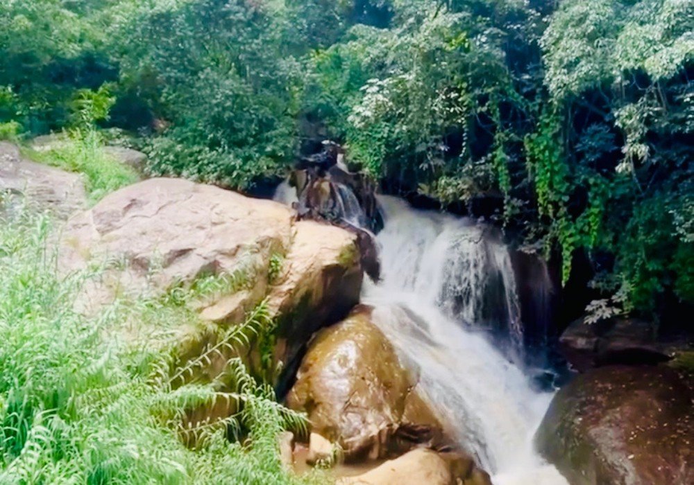 Law’s Falls coonoor