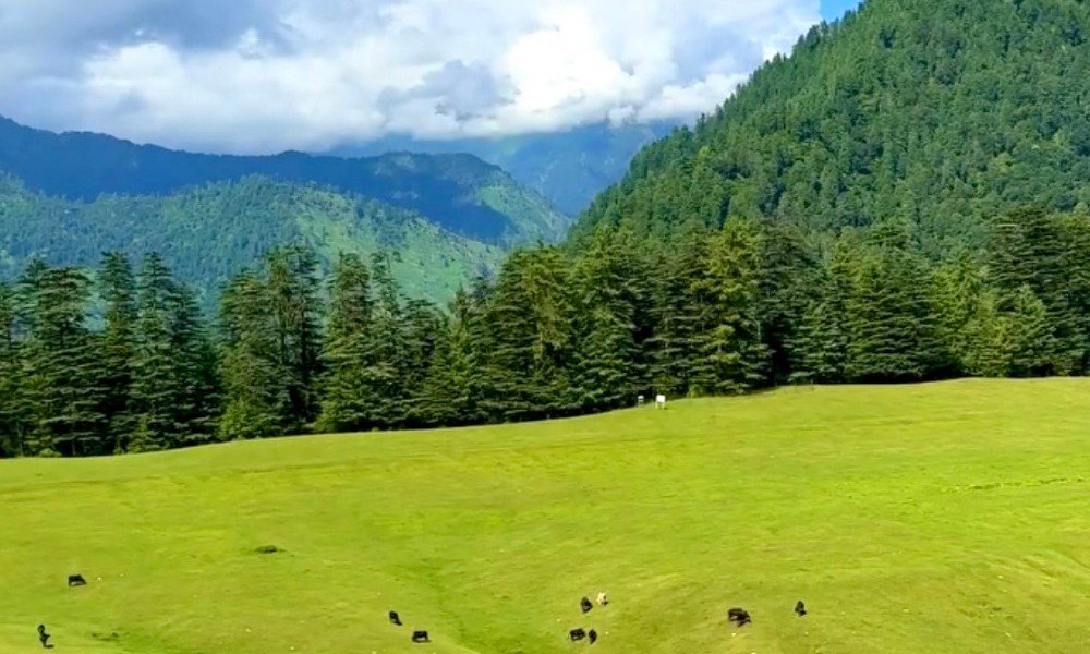 Manali, Himachal Pradesh