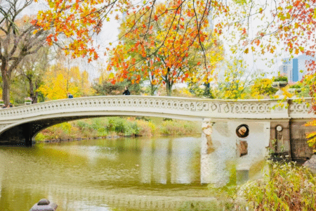 places to visit in november